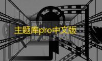 主题库pro中文版